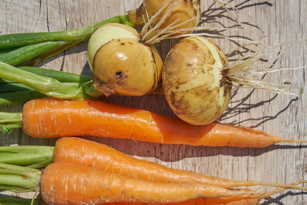 Carrots And Onions In The Same Bed