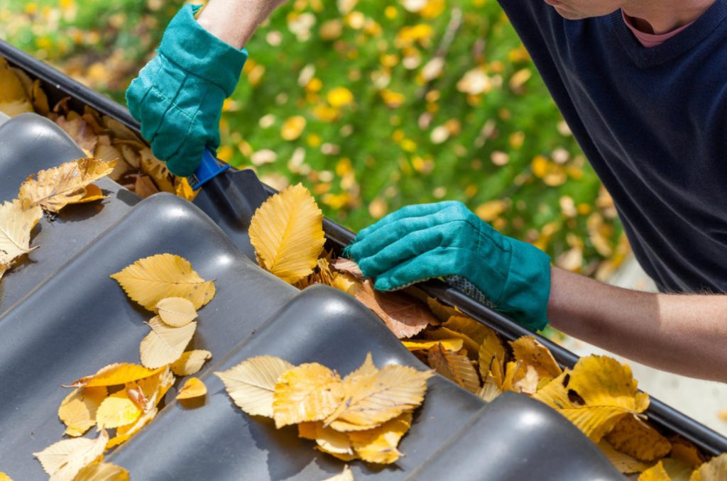 Cleaning The Drains Of a Country House From Leaves And Other Debris