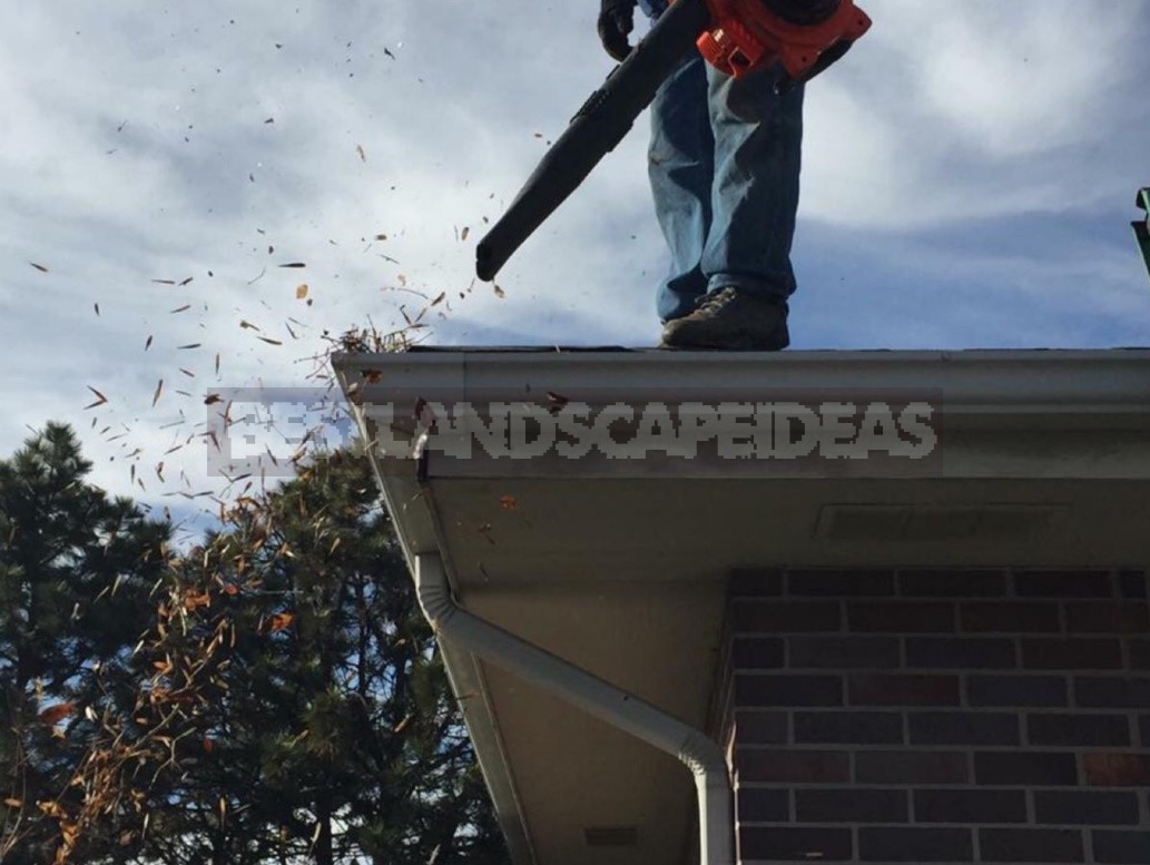 Cleaning The Drains Of a Country House From Leaves And Other Debris