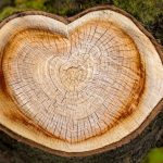 Ideas For Crafts And Decor Made Of Wood Cuts: Useful And Beautiful