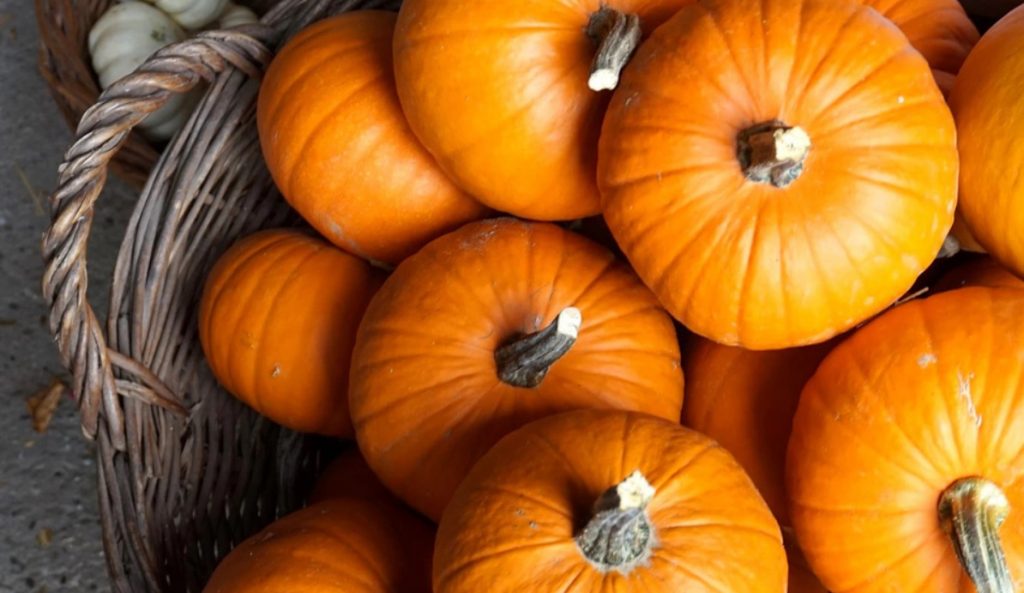 Pumpkin Decor: Vases, Candlesticks And Other Ideas