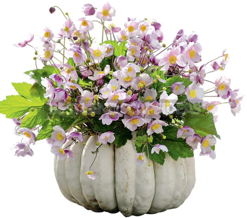 Pumpkin Decor: Vases, Candlesticks And Other Ideas