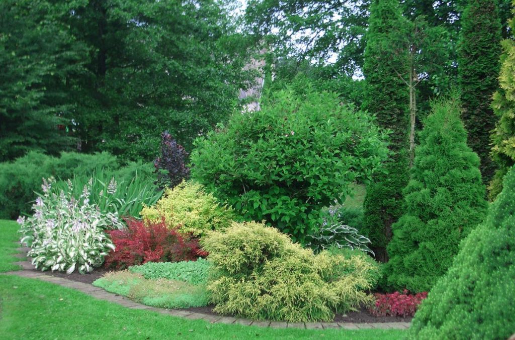 Shrub Garden: Plant Selection Criteria (Part 1)