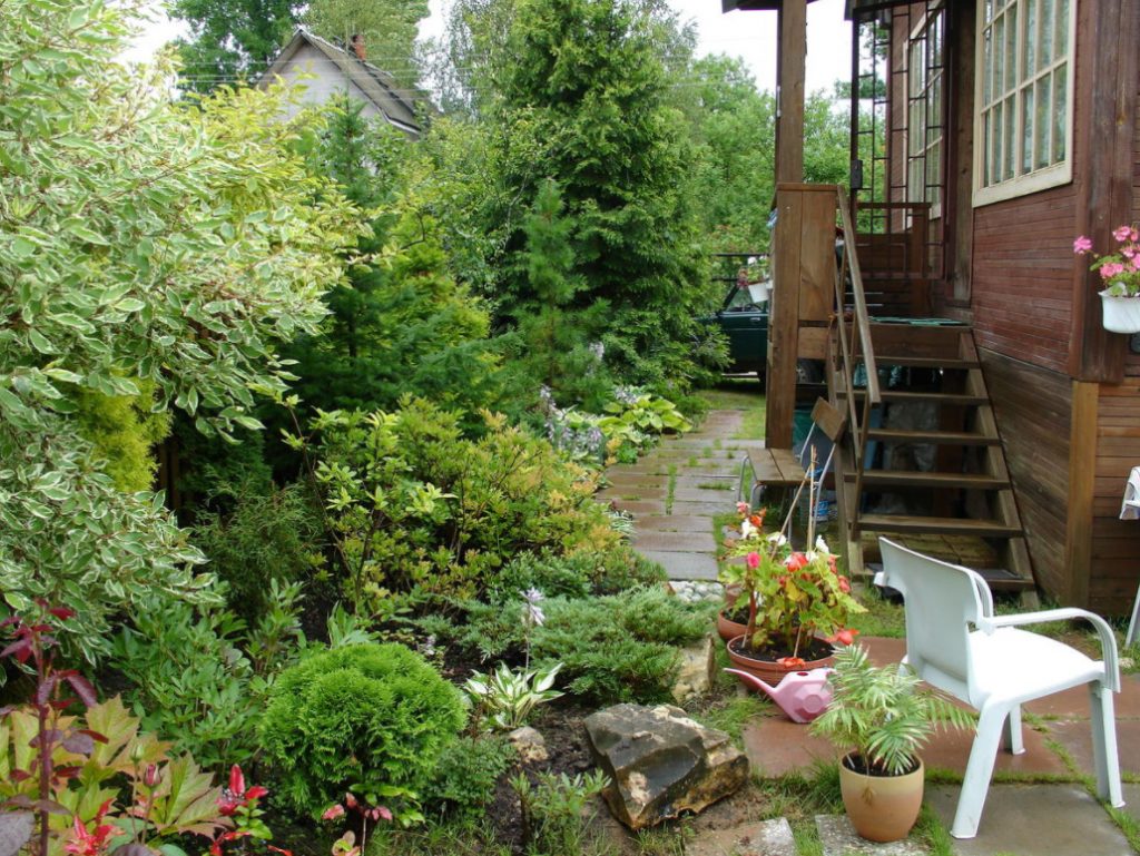 Picture of Shrub Garden: Plant Selection Criteria (Part 2)