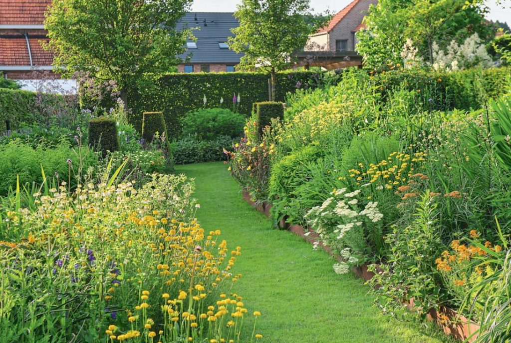Time Of Yellow Colors: Admiring Bright Colors