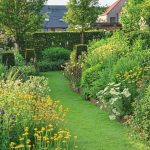 Time Of Yellow Colors: Admiring Bright Colors