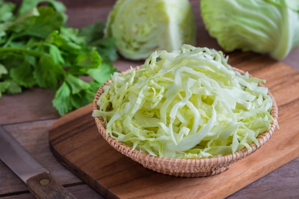 Treatment Of Cabbage Traditional Recipes Best Landscape Ideas