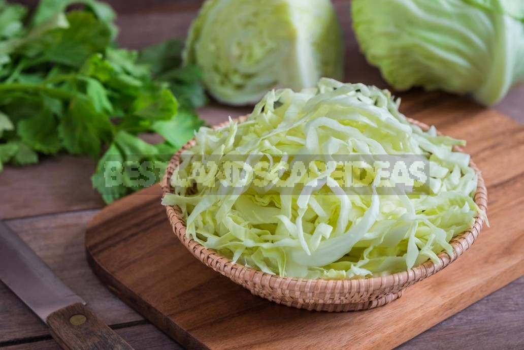 Treatment Of Cabbage: Traditional Recipes