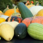 Useful Properties Of Pumpkin And Its Closest Relatives