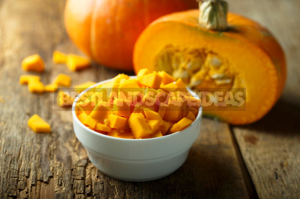 Useful Properties Of Pumpkin And Its Closest Relatives