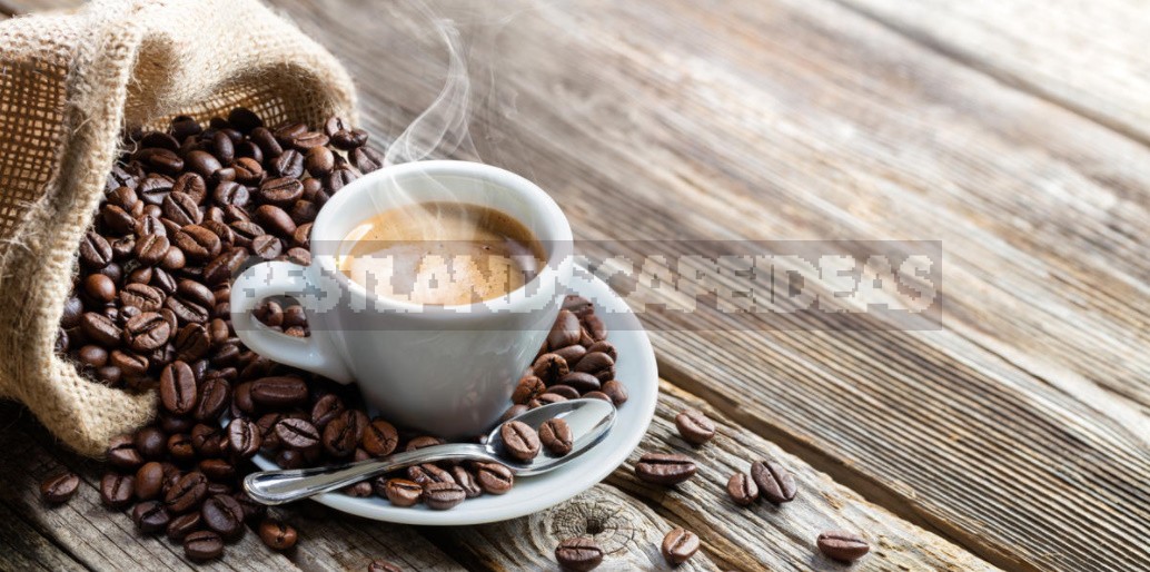 Benefits And Harms Of Coffee: Facts And Myths About The Ancient Drink (Part 1)