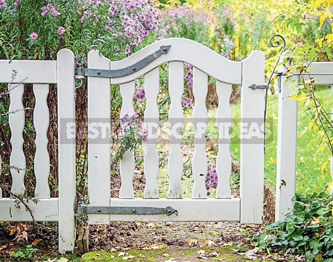 Gates And Wickets: Elegant Design Options For The Entrance To The Site