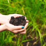 Humates: What Are Their Benefits And How Do They Work