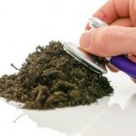 Natural Remedies That Help Restore Soil Health