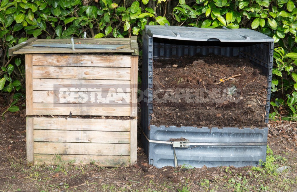 Natural Remedies That Help Restore Soil Health