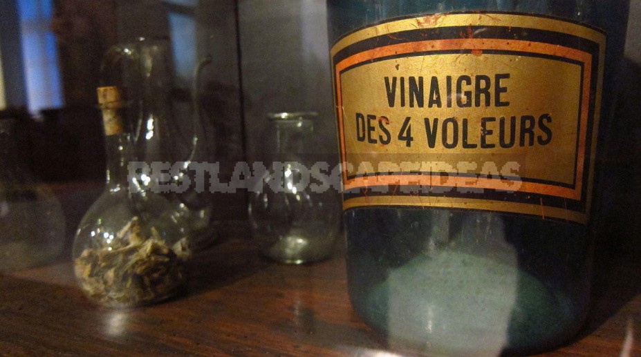 Natural Vinegar: Types, Recipes, Useful Properties (Part 1)