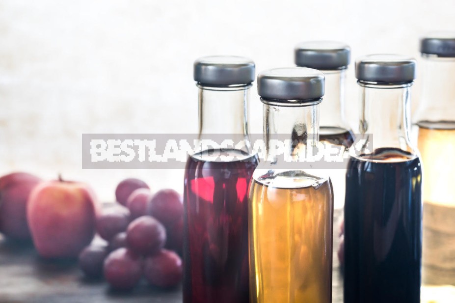 Natural Vinegar: Types, Recipes, Useful Properties (Part 1)