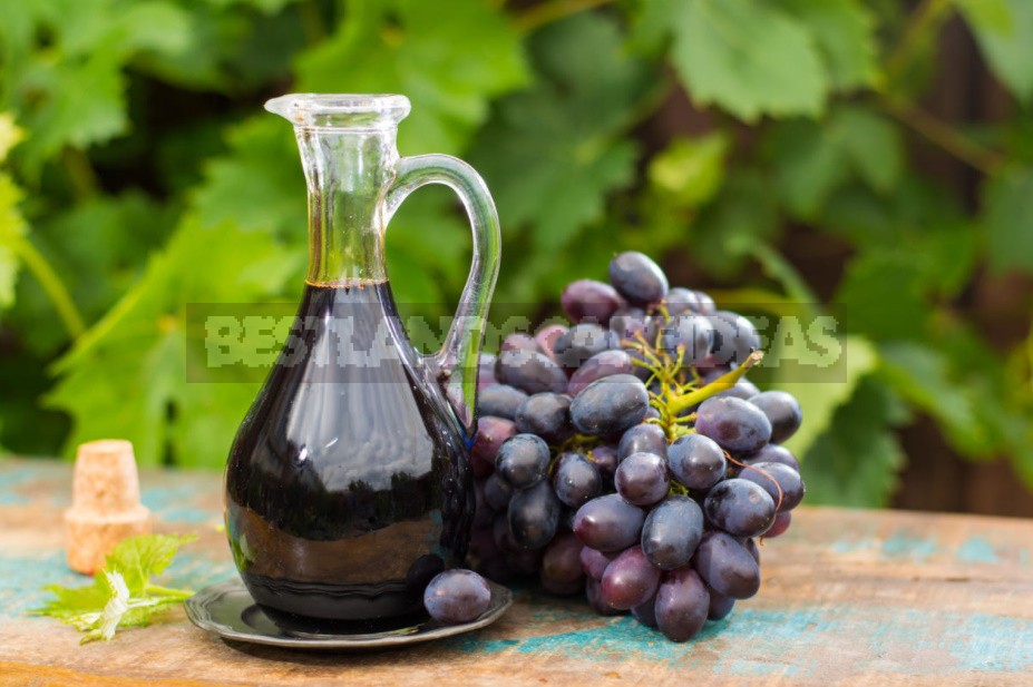 Natural Vinegar: Types, Recipes, Useful Properties (Part 2)