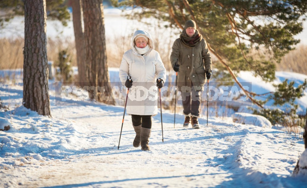 Nordic Walking Rules: How To Walk With The Use Of