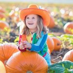 The Most Delicious And Beautiful New Varieties Of Pumpkin