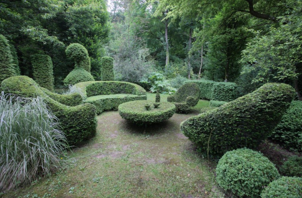 Topiary Plant Cutting: Non-Standard Ideas