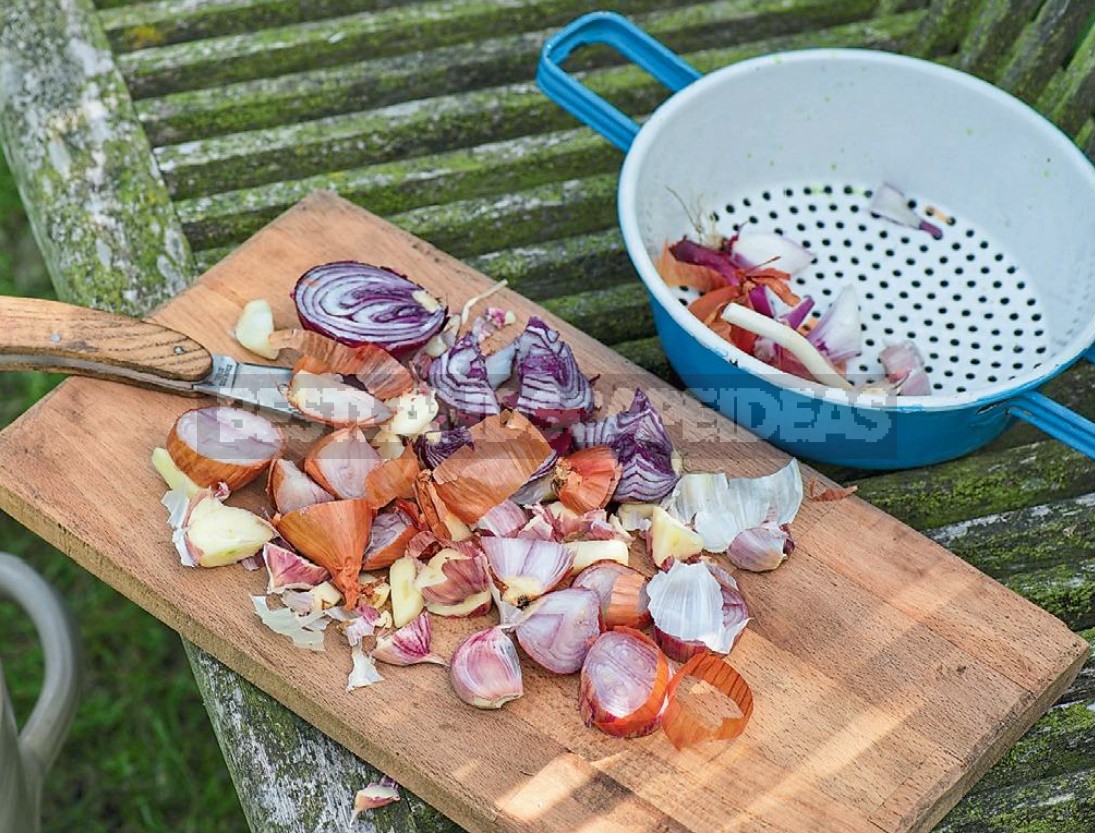 Vegetables Should Be Eaten Whole: From Leaf To Root