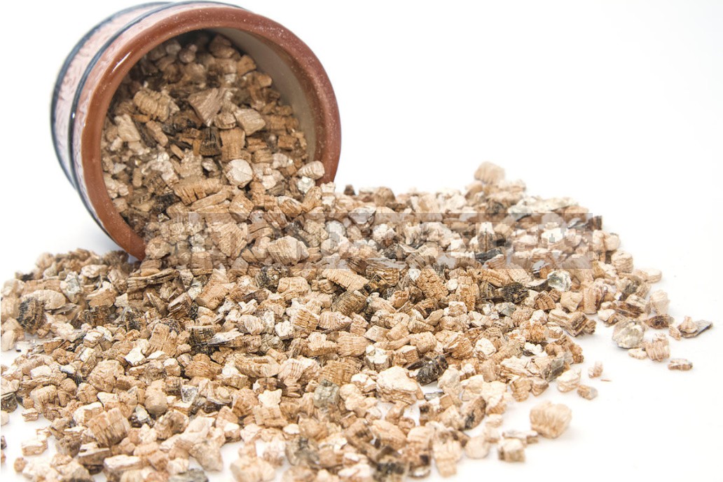 Vermiculite: What It Is And How To Use It