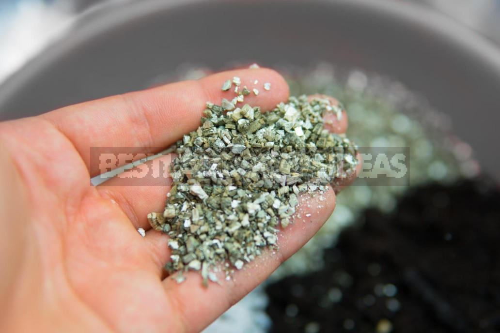 Vermiculite: What It Is And How To Use It