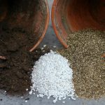 What Is Perlite And How To Use It Correctly In Gardening