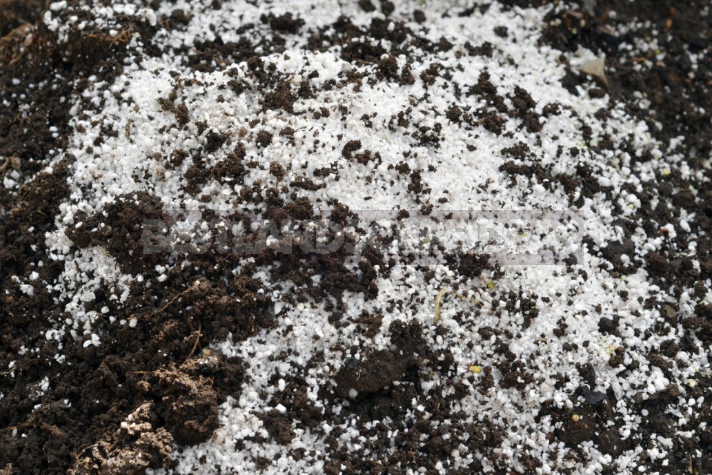 What Is Perlite And How To Use It Correctly In Gardening