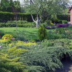 What To Plant Around The Perimeter Of The Plot Depending On Its Size