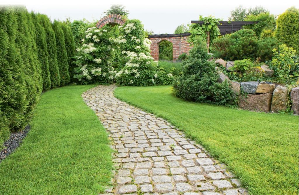 What To Plant Around The Perimeter Of The Plot Depending On Its Size