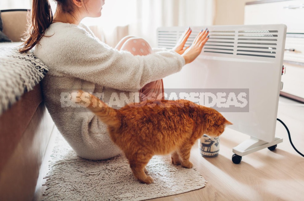 What Will Warm You Up In Autumn: Choosing Electric Heaters (Part 1)