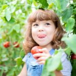 A Few Words About Healthy And Delicious Tomatoes