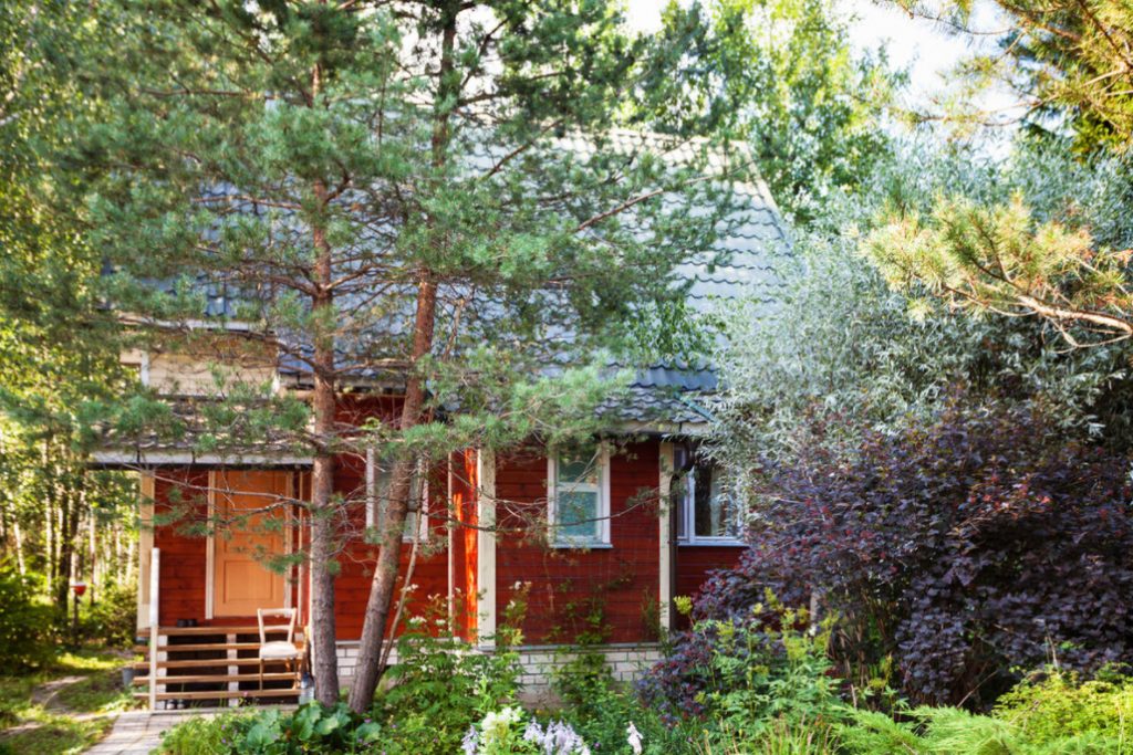 Can The Roots Of a Tree Destroy The Foundation Of a House