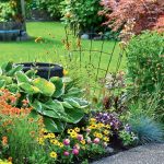 Garden Of Minimal Care — Reality Or Fiction Of Landscape Designers?
