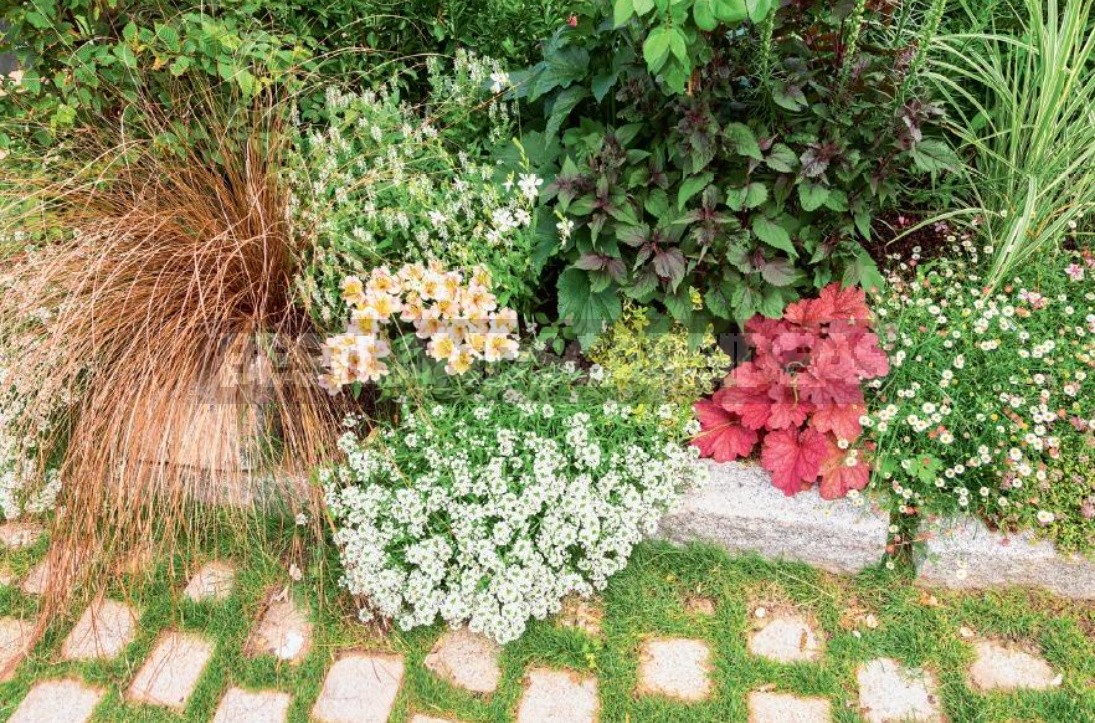 Garden Of Minimal Care — Reality Or Fiction Of Landscape Designers?