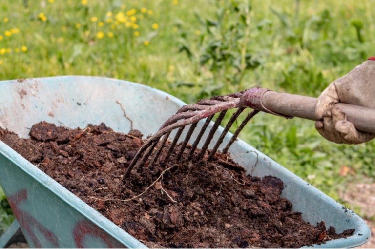 How To Apply Manure And Manure So As Not To Harm Plants - Best ...