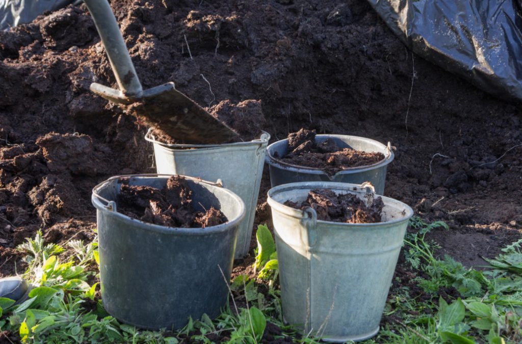 How To Apply Manure And Manure So As Not To Harm Plants Best Landscape Ideas