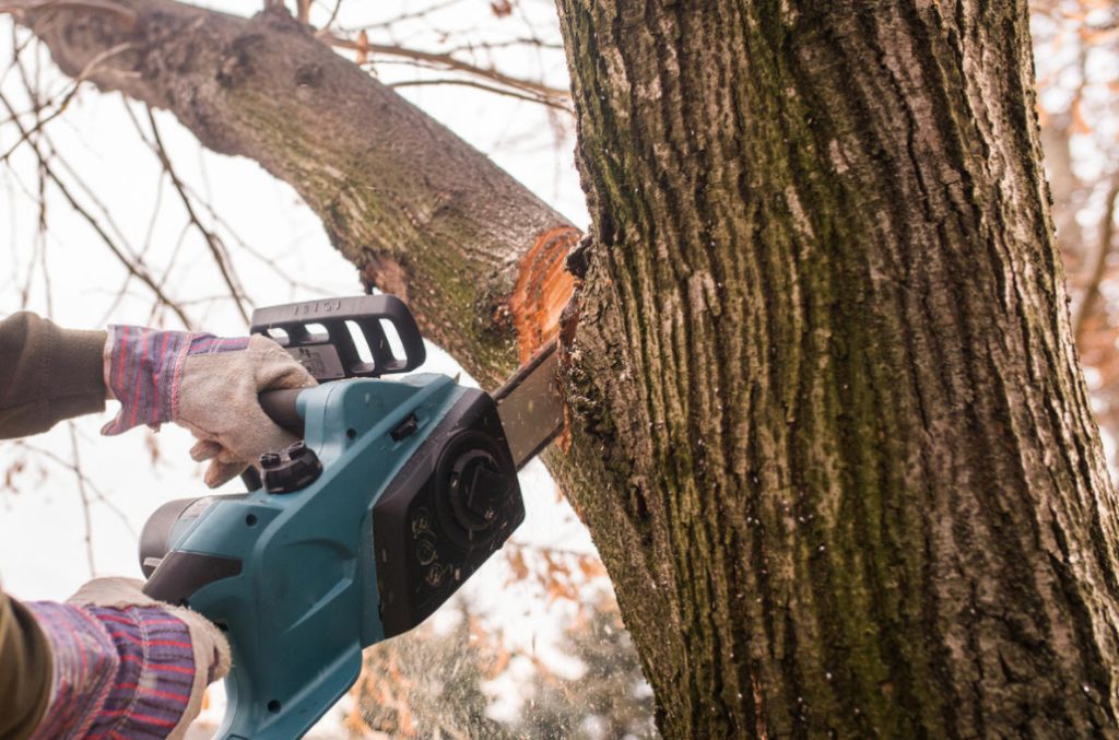 remove branches remove branches