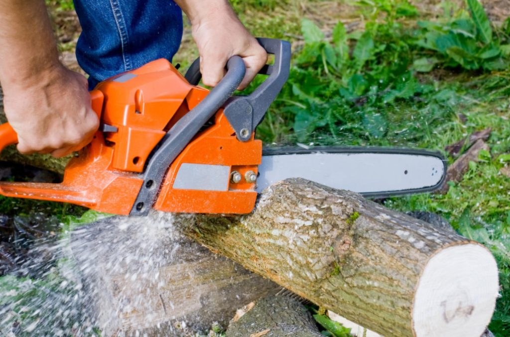 How To Safely And Correctly Cut Down a Tree With a Chainsaw Best