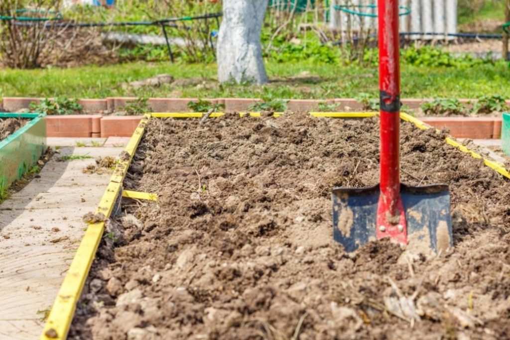 The Easiest And Fastest Way To Improve The Soil On The Beds