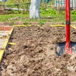 The Easiest And Fastest Way To Improve The Soil On The Beds