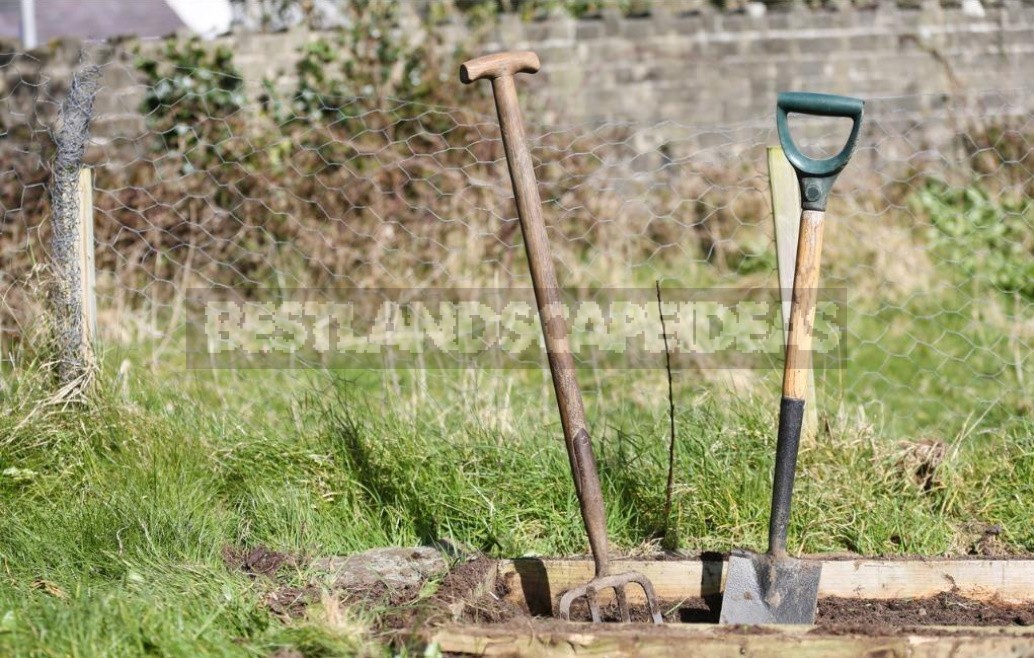 The Easiest And Fastest Way To Improve The Soil On The Beds