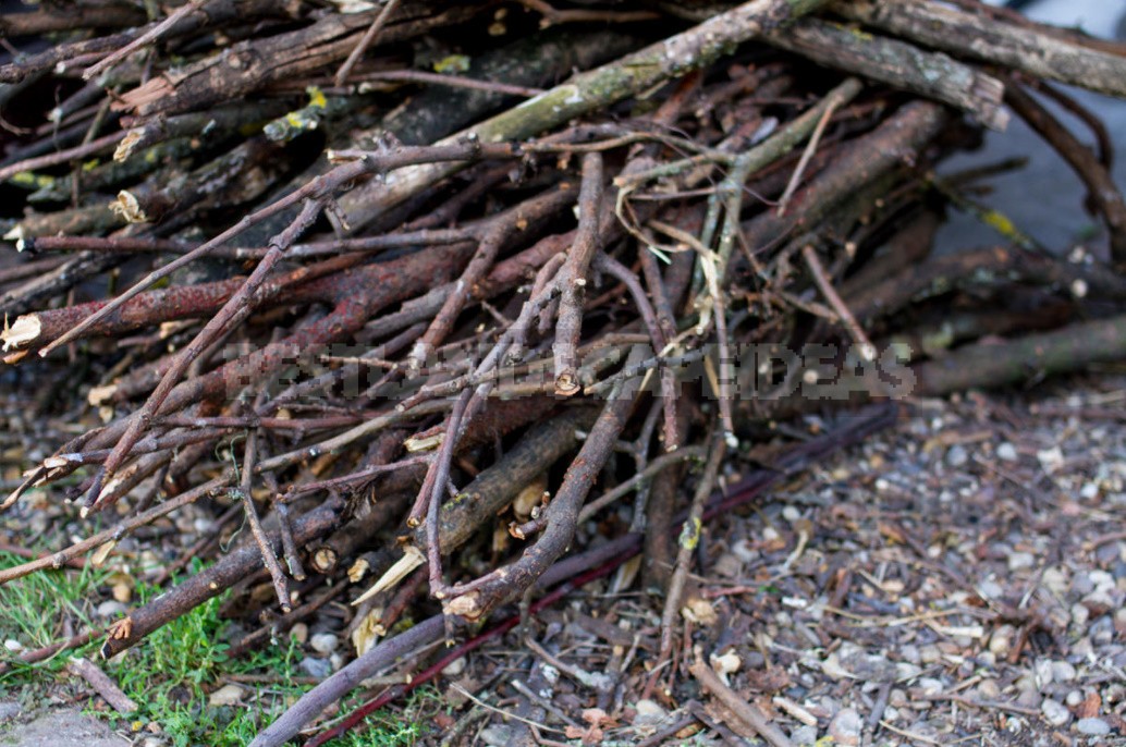 The Easiest And Fastest Way To Improve The Soil On The Beds