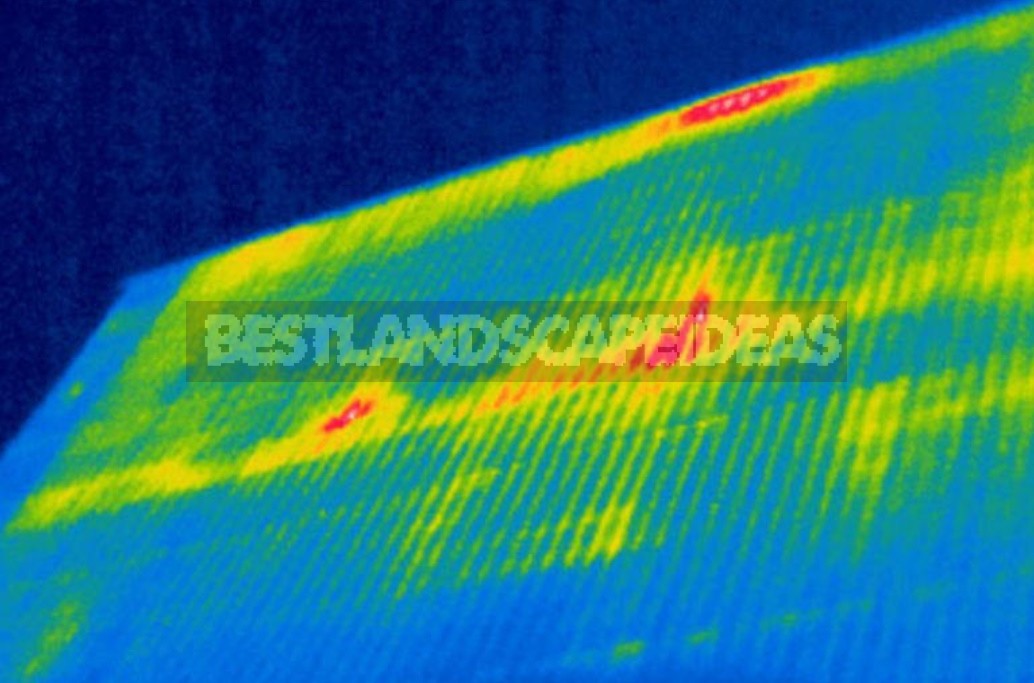 Thermal Imagers: Keep You Warm And Save You Money (Part 1)