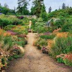 Garden In a Natural Style: Principles And Plants