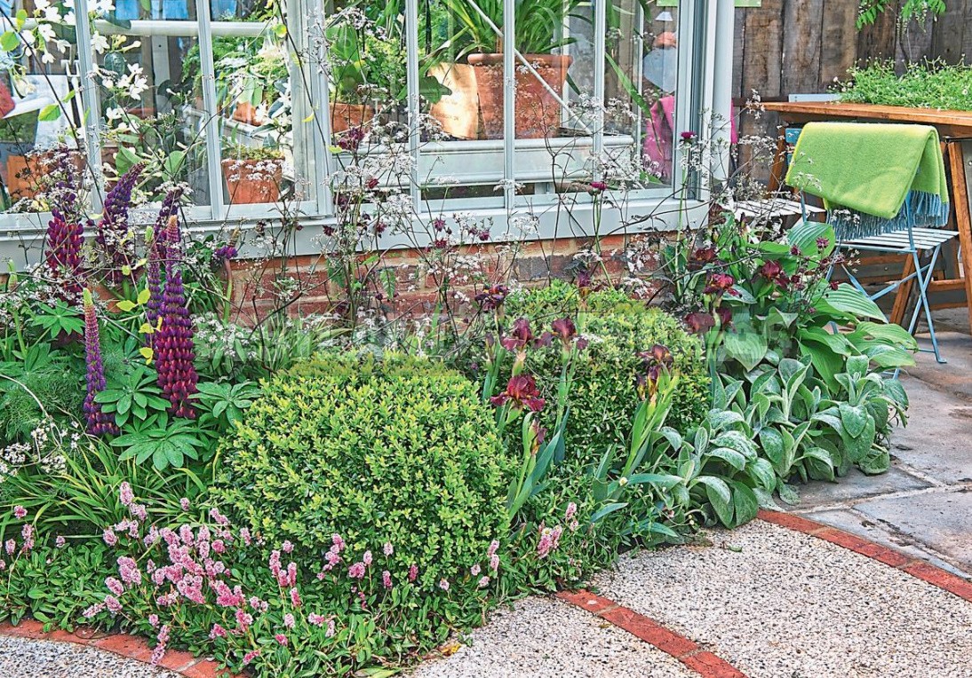 Flower Beds Of Perennials: Examples, Planting Scheme