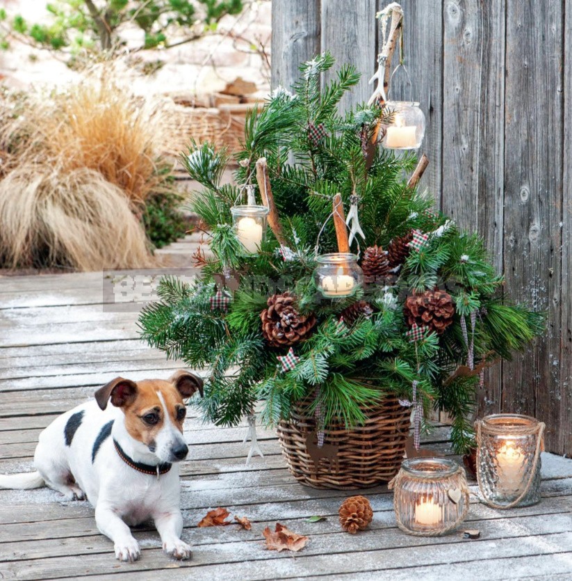 Magical Transformation: 10 New Year's Decor Ideas For The Terrace