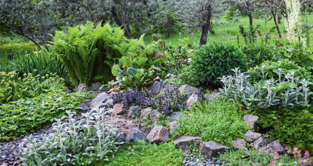 Rockery Device: Basic Rules And Stone Selection